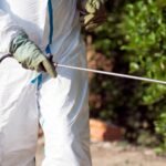 Control de plagas en jardines exteriores: clave para espacios empresariales saludables